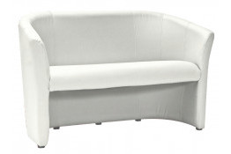 Dīvāns TM-2 BIALA eko āda