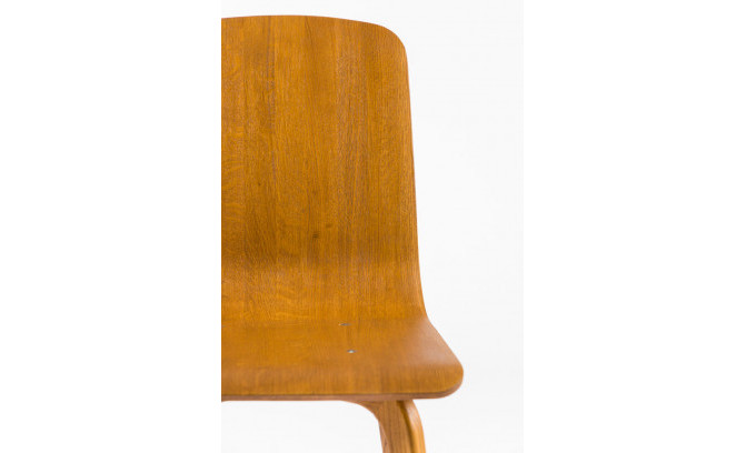 Krēsls WERNER no ozola masīvkoka spilvens āda
