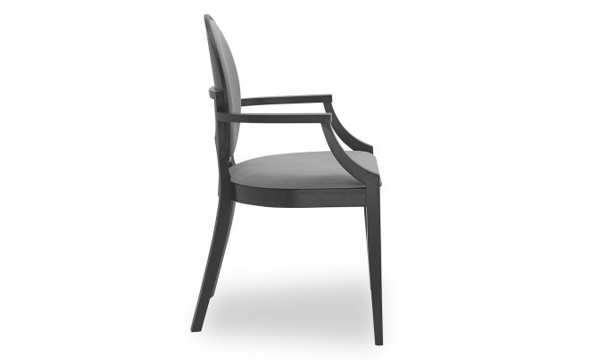 Классическое кресло DIANA B-0253 FAMEG STANDART