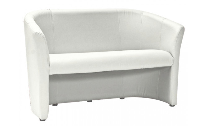 Dīvāns TM-2 BIALA eko āda